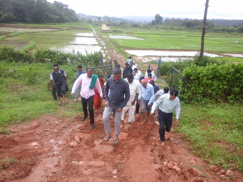 ತಂತ್ರಜ್ಞಾನ  ಬಳಕೆಯಿಂದ ಭತ್ತದ ಬೆಳೆಯಲ್ಲಿ ರೆತರಿಗೆ ಲಾಭ: ಸಚಿವ ಕೃಷ್ಣ ಬೈರೇಗೌಡ